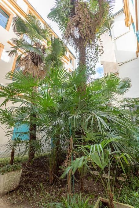 Apartamento L'Elegance Du Capitole Toulouse Exterior foto